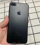 1672639832q8bvk.jpg